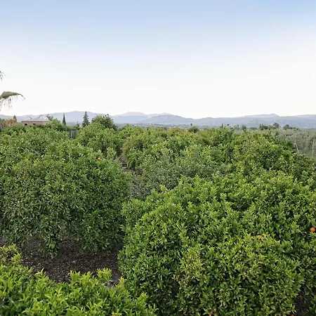 Casa Rural Tipica Andaluza Country house Alhaurin el Grande